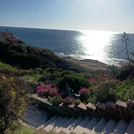 Sardegna La Bouganville