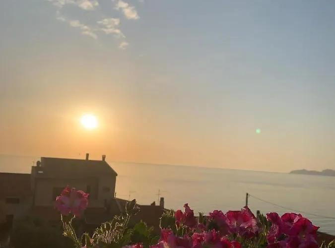 Sardegna La Bouganville 아파트
